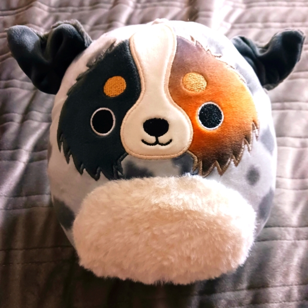 RAYLOR the Australian Sheperd 7.5" Squishmallow